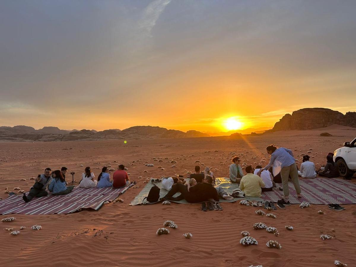 Luxury tent Bedouin Nature Camp